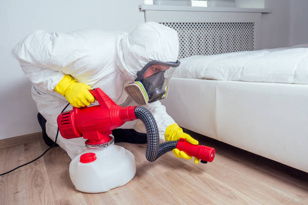 Reliable West Puente Valley, CA Pest Control Solutions